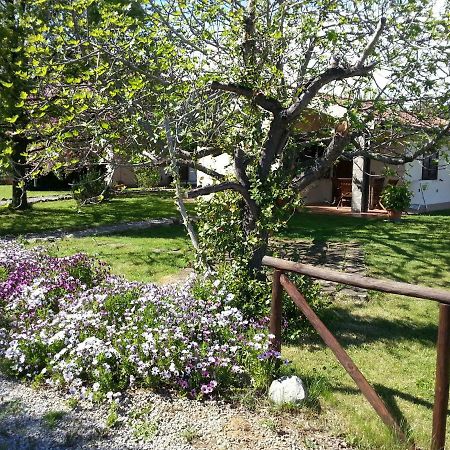 Villa Agriturismo Sicomoro Capalbio Exterior foto