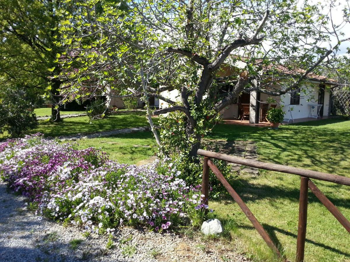 Villa Agriturismo Sicomoro Capalbio Exterior foto