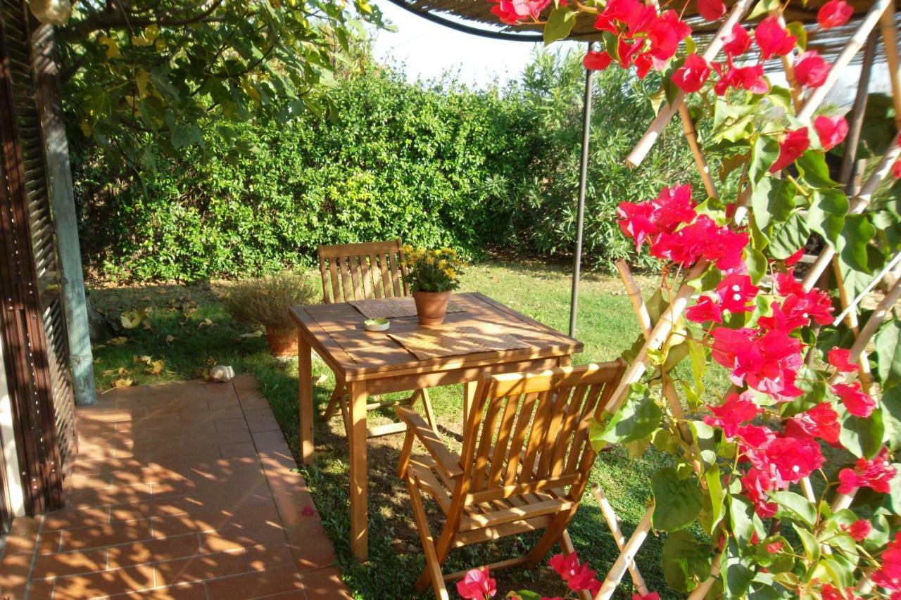 Villa Agriturismo Sicomoro Capalbio Exterior foto