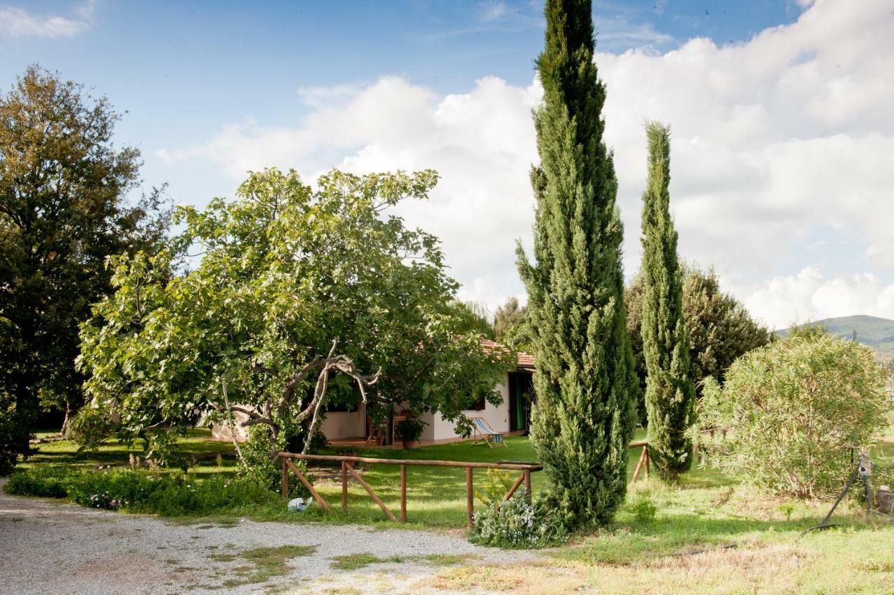 Villa Agriturismo Sicomoro Capalbio Exterior foto